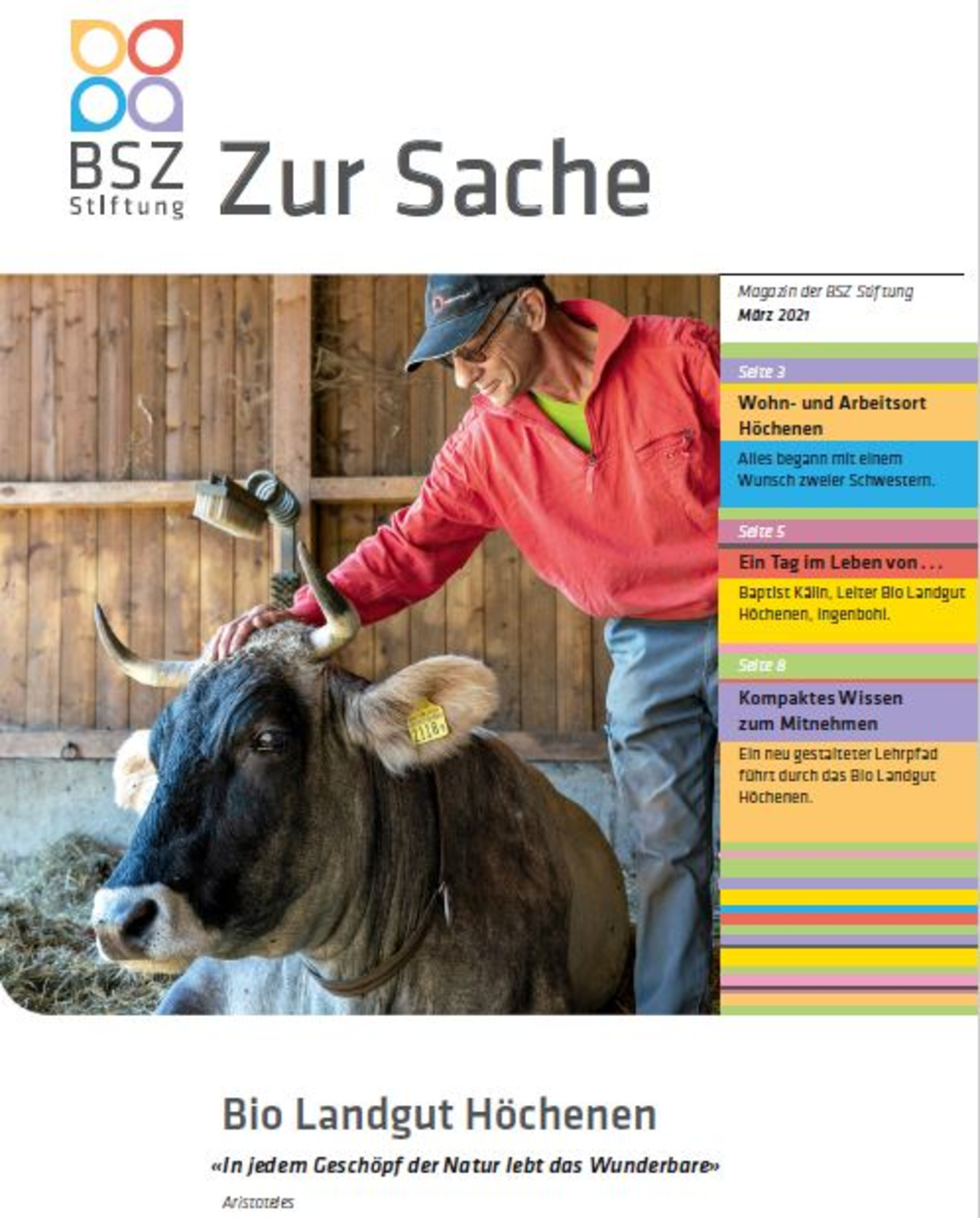 Titelbild Hauszeitung Zur Sache 2021